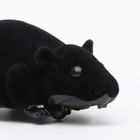 Мышь заводная бархатная, 12 см, чёрная - фото 6764610