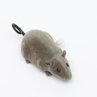 Мышь заводная бархатная, 12 см, серая - фото 7798215