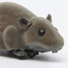 Мышь заводная бархатная, 12 см, серая - фото 7798219