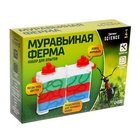 Набор для опытов «Муравьиная ферма» 7826144 - фото 2045996