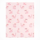 Набор подарочный "Расслабься киса" плед и акс. - фото 805158158