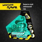 Научно-познавательный набор «Морская пучина», модели «Re-Агенты» 9344946 - фото 10139787