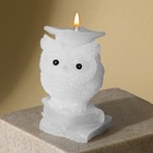 Свеча формовая «Сова», белая, высота 8 см - фото 10139885