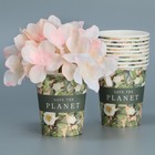 Стакан для цветов «Эко», 250 мл (комплект 10 шт) - фото 23103129