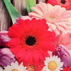 Доска разделочная и сервировочная с декором "Лучшей хозяке" 29,25х18,75х0,55 см, фанера - фото 36436486