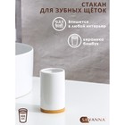Стакан для зубных щёток SAVANNA Джуно, белый - Фото 1