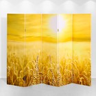 Ширма "Пшеничное поле", 250 х 160 см - Фото 2