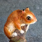 Подвесной декор "Белка на ветке" 16х15х12см - фото 21932121