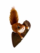 Подвесной декор из полистоуна «Белка на ветке», 27×19×12 см - фото 64551880