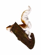 Подвесной декор из полистоуна «Белка на ветке», 27×19×12 см - фото 64551882