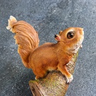 Подвесной декор из полистоуна «Белка на ветке», 27×19×12 см - Фото 10