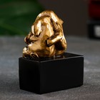 Фигура "Пара слоников" золото, 7,5х6х10см - фото 21932157