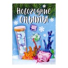 УЦЕНКА Набор для опытов «Новогодние опыты» - Фото 9