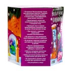 УЦЕНКА Набор для опытов «Новогодние опыты» - Фото 10