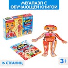 УЦЕНКА Набор «Моё тело»: мегапазл с обучающей книгой - Фото 1