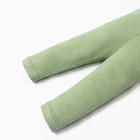 Костюм: джемпер и леггинсы Крошка, Я BASIC LINE, рост 74-80 см, зелёный 9235703 - фото 14131422