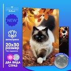 Алмазная вышивка с полным заполнением «Кошка» 20×30 см, Уценка - Фото 1