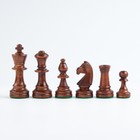 Шахматы польские Madon "Консул", 48 х 48 см, король h=9 см, утяжеленные - Фото 5