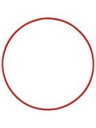 Обруч для художественной гимнастики, d=75 см, цвета МИКС - Фото 7