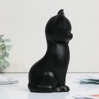 Копилка гипсовая «Кошка», черная, 18 х 8 см - Фото 4
