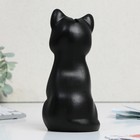 Копилка гипсовая «Кошка», черная, 18 х 8 см - Фото 5