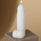 Свеча интерьерная «Анатомия», белая, 11 см - фото 10143681