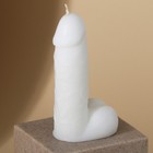 Свеча интерьерная «Анатомия», белая, 11 см 9346654