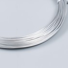 Проволока для творчества "Astra" 1 мм, 10 м, серебро - фото 8572421