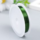 Проволока для творчества "Astra" 0,3 мм, 10 м, зелёный - Фото 1