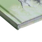 Записная книжка 105 х 140 мм, 64 листа "Львы", твёрдая обложка, глянцевая ламинация - фото 24289184