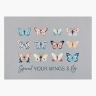 Набор салфеток на стол «Доляна» You Wings, 2 шт., ПВХ 40×29 см 9236152 - фото 16973064
