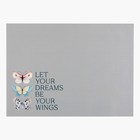 Набор салфеток на стол «Доляна» You Wings, 2 шт., ПВХ 40×29 см 9236152 - фото 16973067