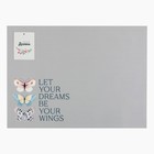 Набор салфеток на стол «Доляна» You Wings, 2 шт., ПВХ 40×29 см 9236152 - фото 16973068