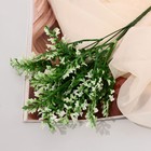 Букет "Тархун садовый" 27 см, бело-зелёный - Фото 1