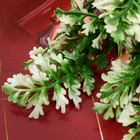 Букет "Тархун садовый" 27 см, бело-зелёный - Фото 2