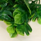 Букет "Филодендрон" 24 м, зелёный (комплект 2 шт) - фото 21936403