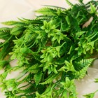 Букет искусственный «Зелень ассорти», h=28 см, зелёный (комплект 2 шт) - фото 24636521