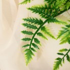 Букет "Папоротник обыкновенный" 27 см, зелёный - Фото 2