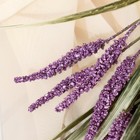 Букет искусственный «Лаванда галант», h=29 см, МИКС (комплект 2 шт) - фото 38162935