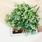 Букет "Толстянка галант" 30 см, микс (комплект 2 шт) - фото 27795730