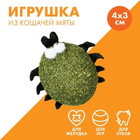 Игрушка для кошек «Жучок» из кошачьей мяты, 4 х 3.5 см 9232319