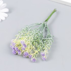 Цветы для декорирования "Гвоздика Шабо" сиреневый 1 букет=6 головок 17 см