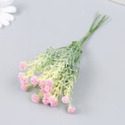 Цветы для декорирования "Гвоздика Шабо" розовый 1 букет=6 головок 17 см - Фото 1