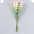 Цветы для декорирования "Гвоздика Шабо" розовый 1 букет=6 головок 17 см - Фото 2