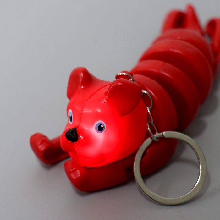 Развивающая игрушка «Собака» световая на брелке, цвета МИКС - фото 1900279714