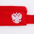 Козырек «President», цвет красный - Фото 9