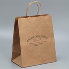 Пакет подарочный крафтовый, упаковка, «Ярких эмоций», 24 х 28 х 14 см (комплект 10 шт) - фото 24574685