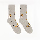 Носки мужские «Бульдог», светло-серые, размер 39-43 - фото 41449724