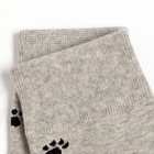 Носки мужские «Бульдог», светло-серые, размер 39-43 - фото 41449725