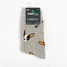 Носки мужские «Бульдог», светло-серые, размер 39-43 - фото 41449727